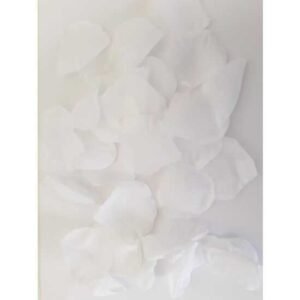 --- 100 PETALOS COLOR BLANCO ---
